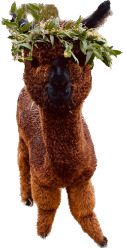 Patrick With Flowers