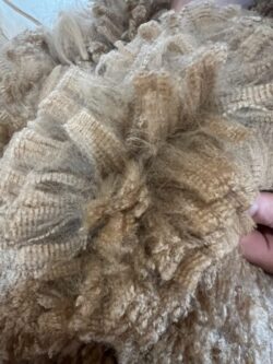 Ryan Fiber Sample 2024