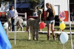 Tessa and Ryan at the 2024 4-H Fair