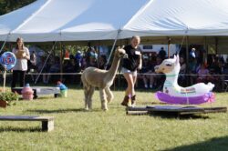 Tessa and Ryan at the 2024 4-H Fair
