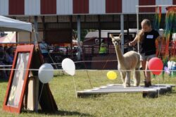 Tessa and Ryan at the 2024 4-H Fair