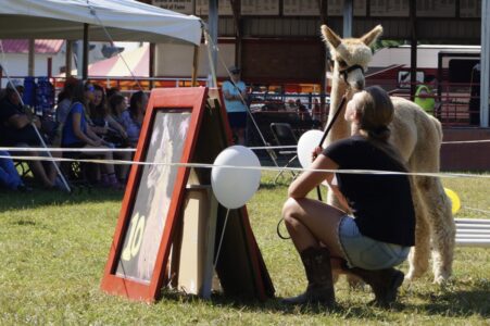 Tessa and Ryan at the 2024 4-H Fair