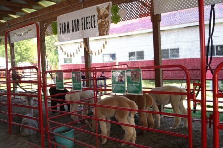 Farm and Fleece Pens