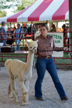 Marin Walking Financy
