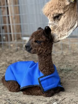 Zachary With Momma Love and Grace