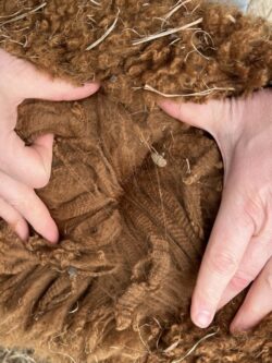 Otto Fiber Blanket in April 0f 2025