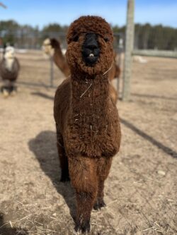 Zach in April of 2025