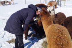 Rebecca Gill and Ladies in Winter