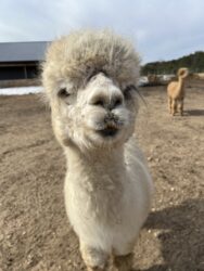 Faith in Spring 2025