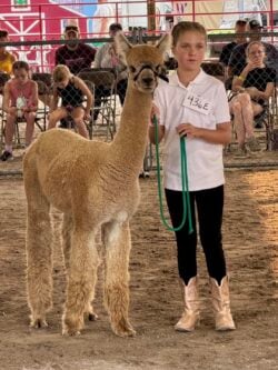 Falcon and Audrey at Fair