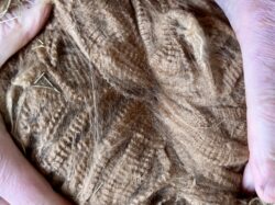 Falcon Crimp and Bundles