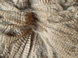 Falcon Fiber - April 2026